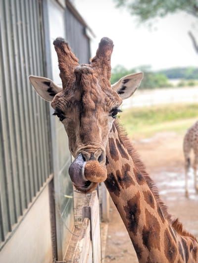 Photography thumbnail